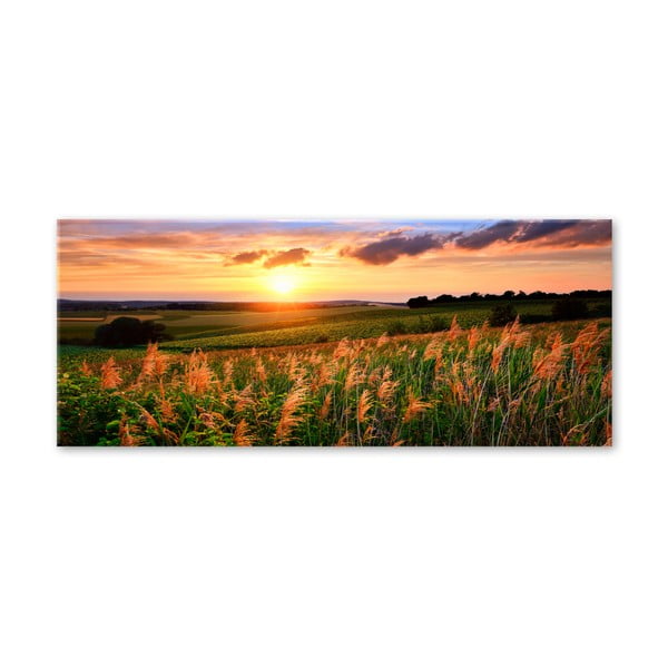 Slika Styler Glas Nature Sunset Me, 80 x 120 cm