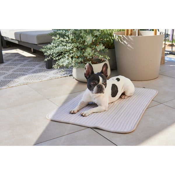 Siva pamučna deka za pse 90x120 cm Onda Pebble L – MiaCara-image-1