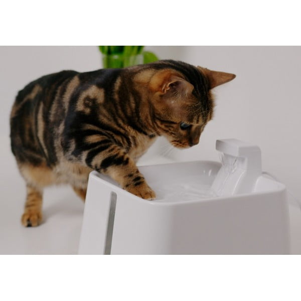 Pojilica za kućne ljubimce Epic Pet Zen - Plaček Pet Products-image-1