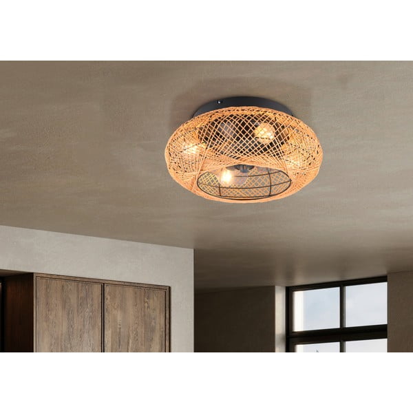 Smeđa stropna svjetiljka s daljinskim upravljačem/s ventilatorom Lillesand – Trio-image-1