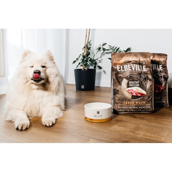 Keramička zdjela za hranu za ljubimce za pse ø 13 cm Dog Fantasy WOOF – Plaček Pet Products-image-1