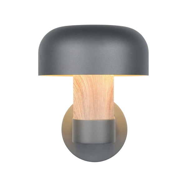 Zidna vanjska svjetiljka (visina 24,5 cm) Fraser – Trio