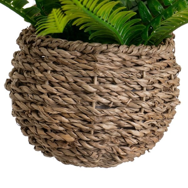 Umjetna paprat (visina 25 cm) – Casa Selección-image-2