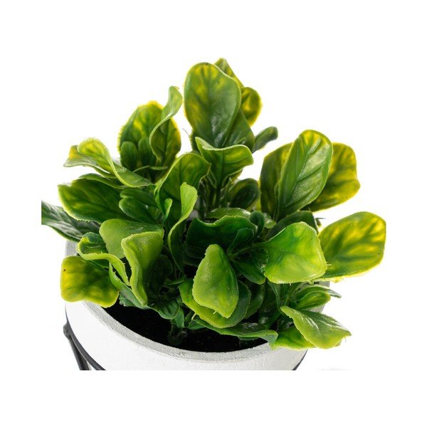 Umjetne biljke u setu 4 kom – Casa Selección-image-1