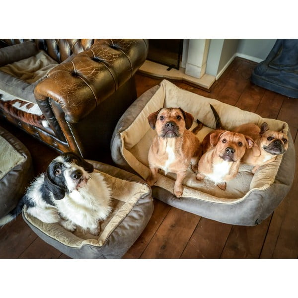 Svjetlo smeđi krevet za pse 50x65 cm – Madison-image-1