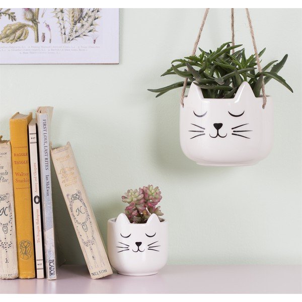 Tegla Sass & Belle Cat's Whiskers-image-1