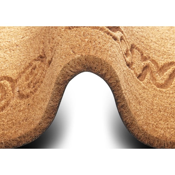 Otirač od kokosovih vlakana 75x45 cm Welcome - Hanse Home-image-2