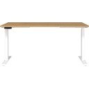 Radni stol 80x160 cm Jet – Germania