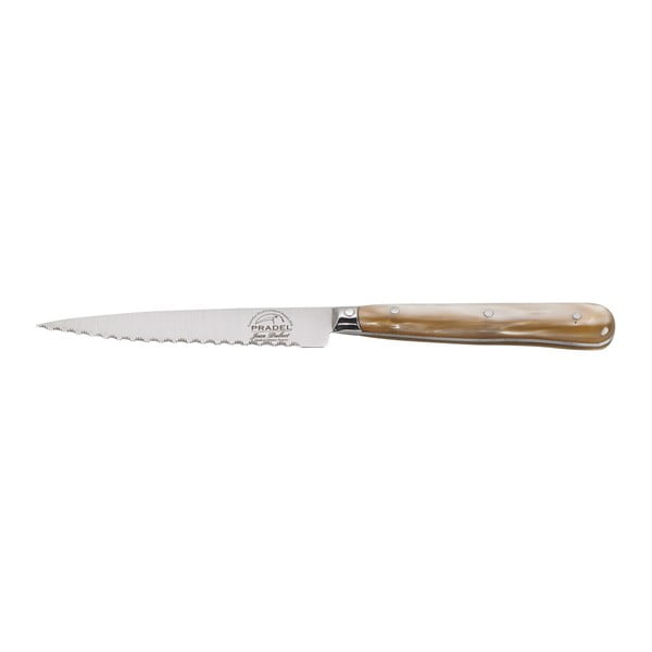 Nož za odreske s akrilnom drškom Jean Dubost Steak