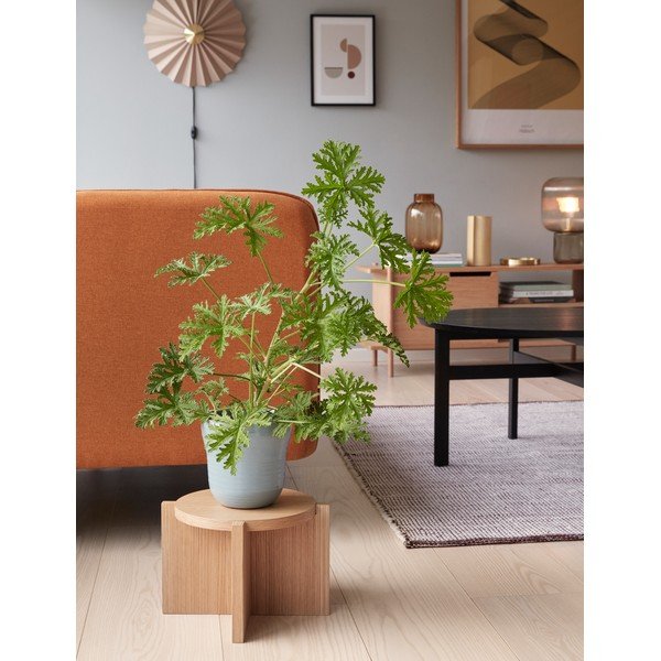 Bež zidna lampa s utikačem ø 48 cm Pliss – Hübsch-image-1