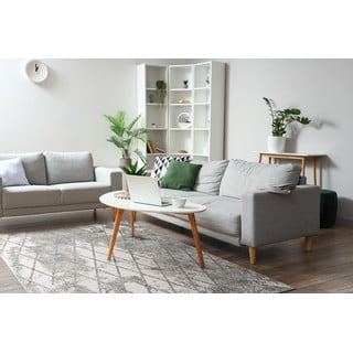 Sivi tepih 160x230 cm Sensi Gepi – FD