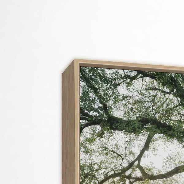 Slika 150x60 cm Tree in the Sun – knor-image-3