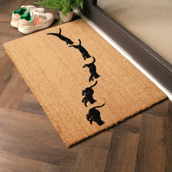 Otirač od kokosovih vlakana 40x60 cm Jumping Cats – Artsy Doormats-image-1