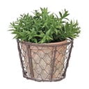 Žičana tegla za bilje od terakote s ručkom Esschert Design