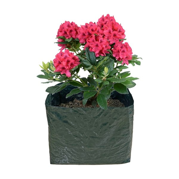 Visoka gredica za sadnju – Garden Pleasure