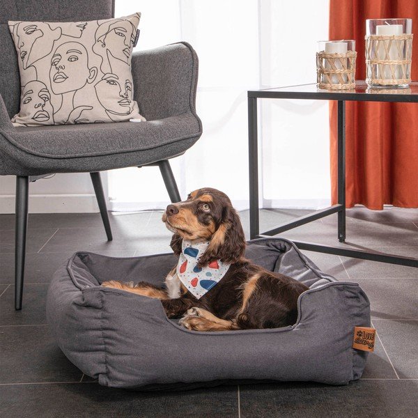 Plavi krevet za pse 50x55 cm – Love Story-image-1