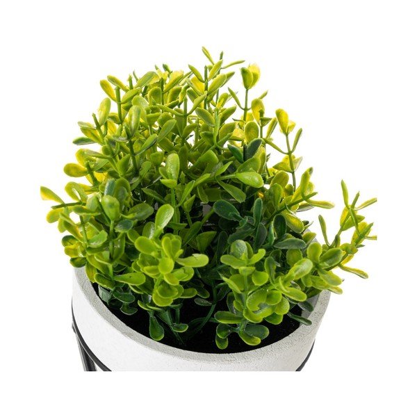 Umjetne biljke u setu 4 kom – Casa Selección-image-3