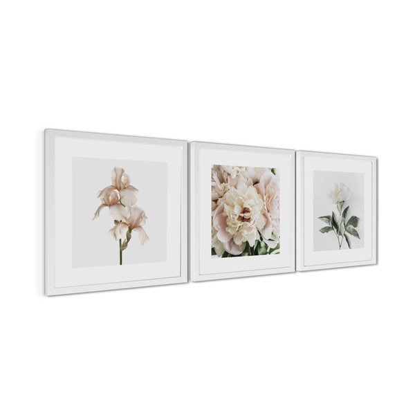 Tiskane slike u setu 3 kom s okvirom 30x30 cm Posy – Styler-image-4