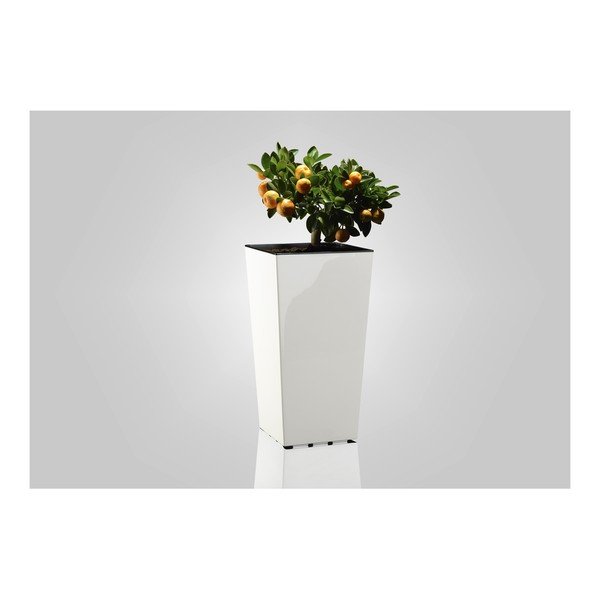 Plastična posuda za cvijeće Elise – Gardenico-image-1