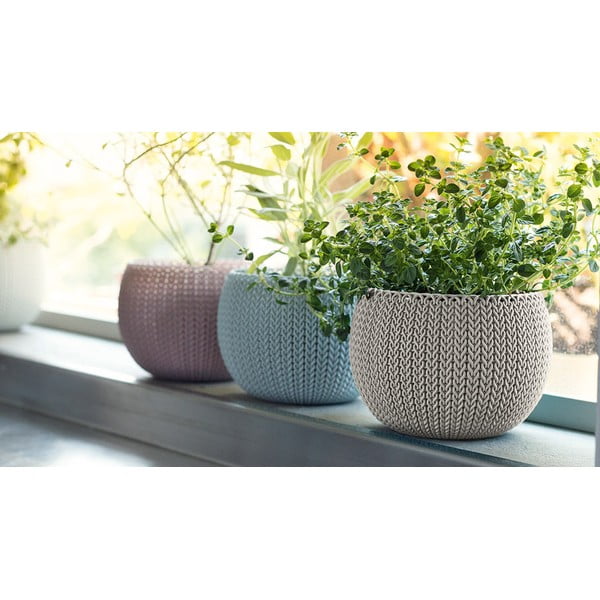Plastične posude za cvijeće u setu 3 kom ø 15 cm Cozy – Keter-image-1