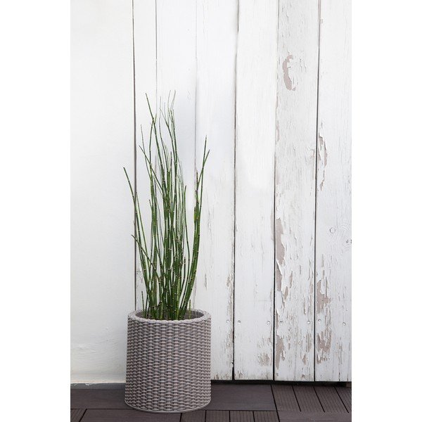 Plastična posuda za cvijeće ø 28 cm Cylinder – Keter-image-1