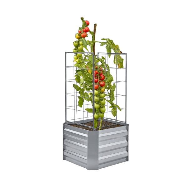 Visoka gredica za sadnju Dahlia – Garden Pleasure-image-2