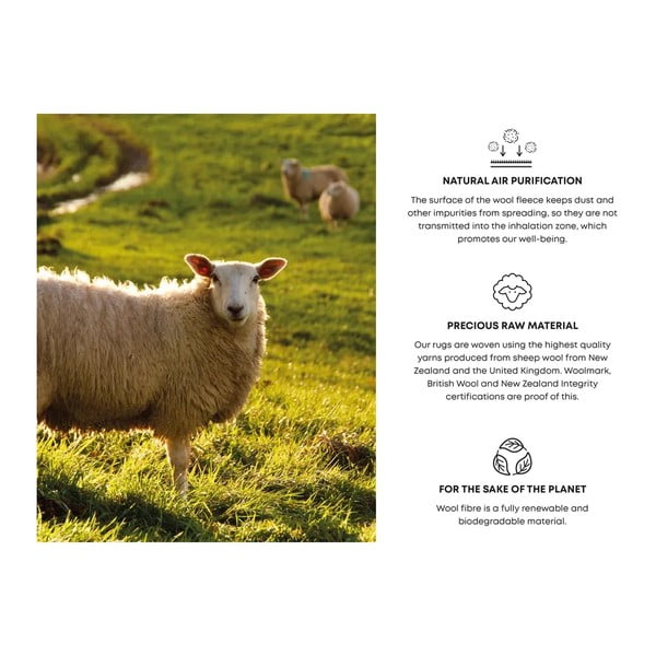 Svijetlo sivi vuneni tepih 240x340 cm Talwin – Agnella-image-4