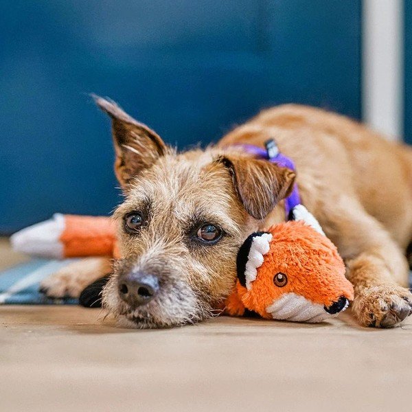 Igračka za psa Fox – P.L.A.Y.-image-1