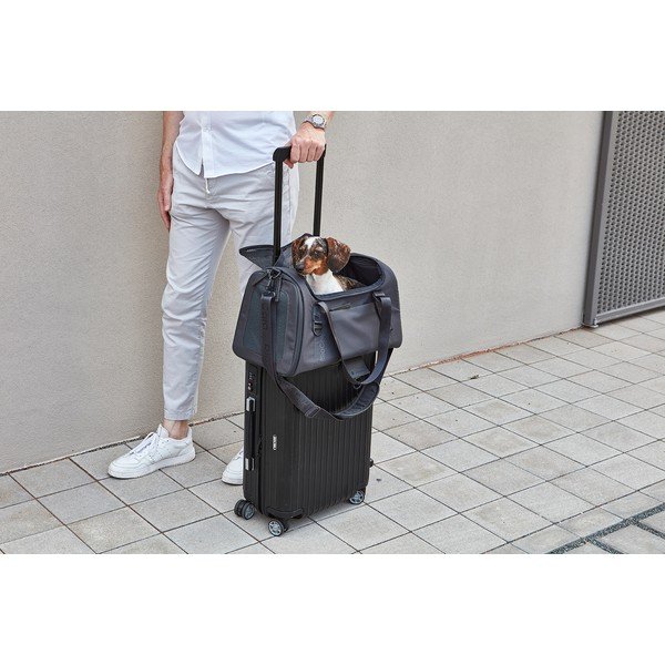 Transporter za pse 28x55 cm Volata Asphalt S/M – MiaCara-image-2