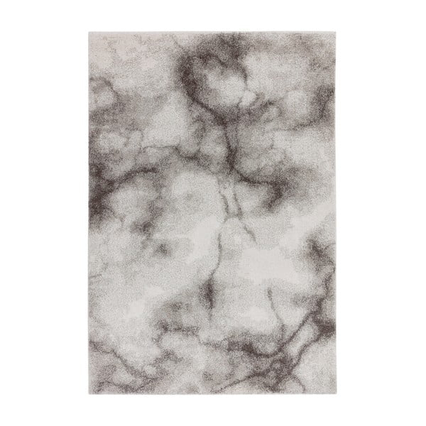 Sivi tepih 160x230 cm Dream – Asiatic Carpets