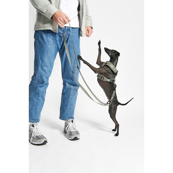 Zeleni uprtač XS dužina 25 cm Modena Grolive XS – MiaCara-image-2