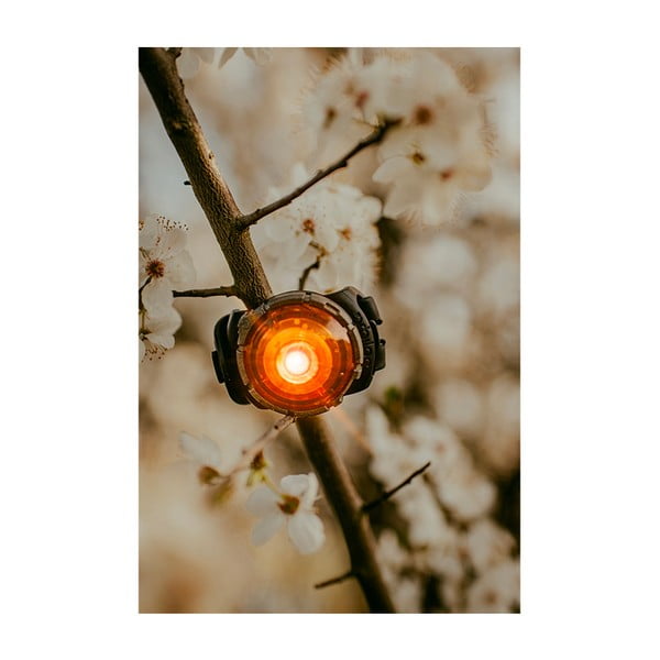 LED svjetlo za ovratnik Amber - Orbiloc-image-3