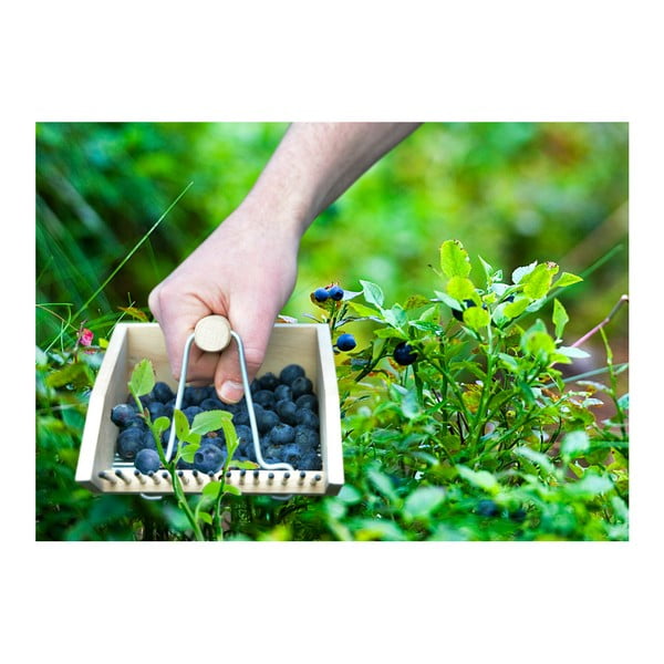 Esschert Design Pond motika borovnice od bukovog drveta-image-2