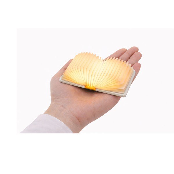 Bijeli svjetlosni ukras nešiojamas s USB BookLight – Gingko-image-3