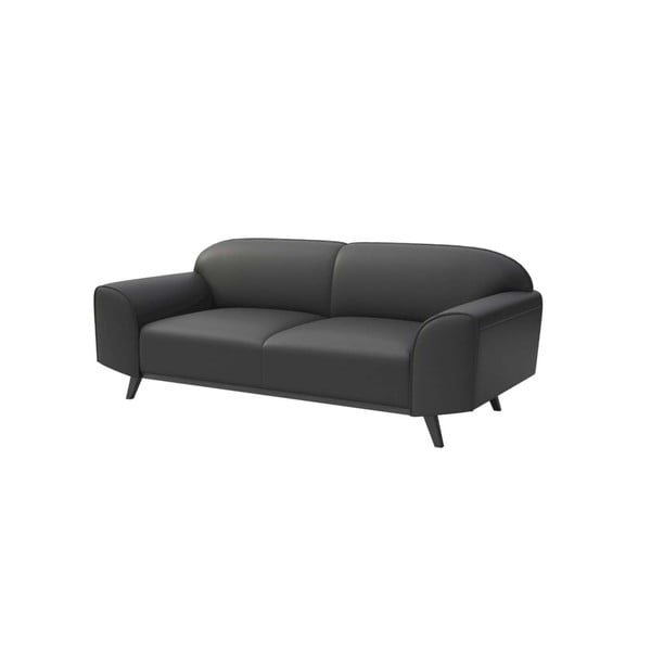 Tamno siva kožna sofa 193 cm Nesbo – MESONICA-image-2
