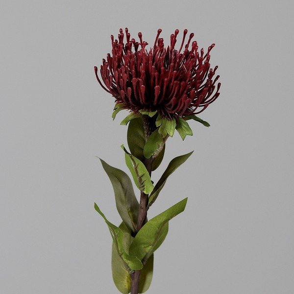 Umjetna biljka (visina 74 cm) Protea – Ego Dekor