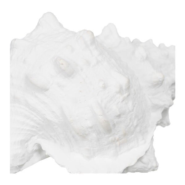 Kipić od polyresina (visina 12 cm) Seashell – Ixia-image-1