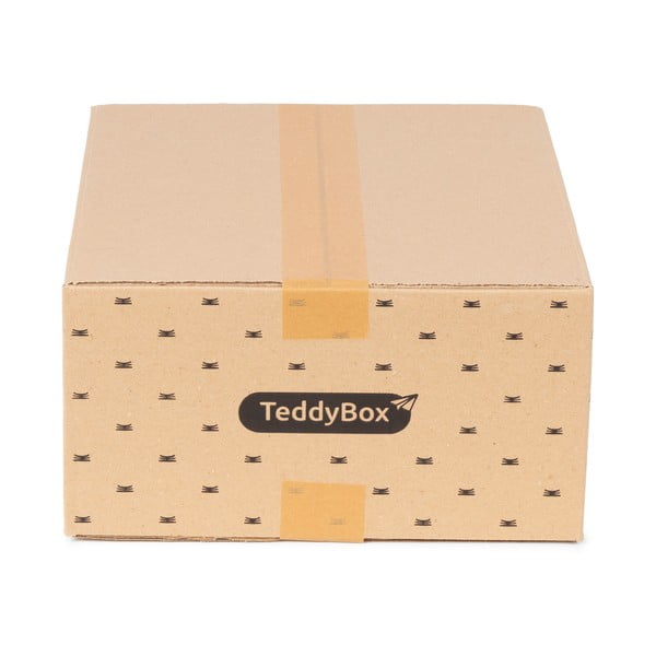 Set od 3 bež kutije za pohranu Compactor Teddy, 35 x 15 cm