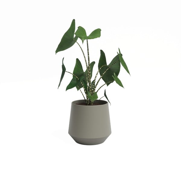 Keramička tegla za cvijeće ø 20 cm Aurora – Artevasi-image-2