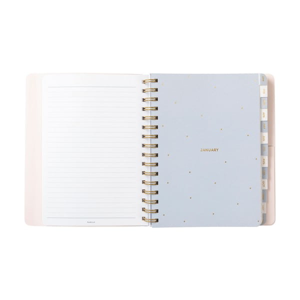 Dnevnik - Busy B-image-2