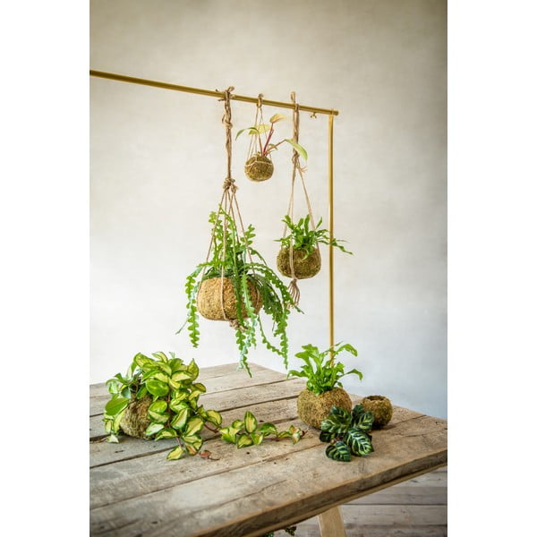 Posuda za cvijeće ø 9 cm Kokedama – Esschert Design-image-1