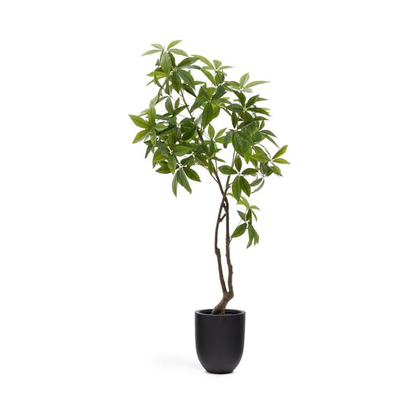 Umjetna biljka (visina 180 cm) Pachira – Kave Home