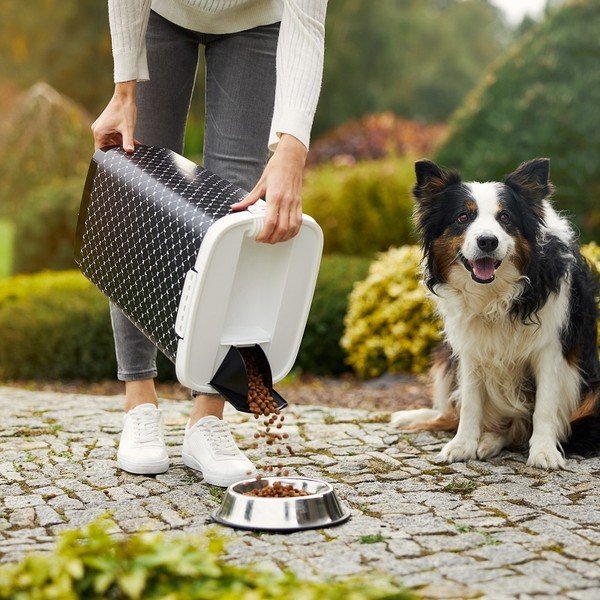 Crna kutija za granule 25 l Cody - Rotho-image-2