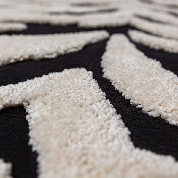 Crno-bijeli tepih 200x300 cm Esra Zebra – Flair Rugs-image-2