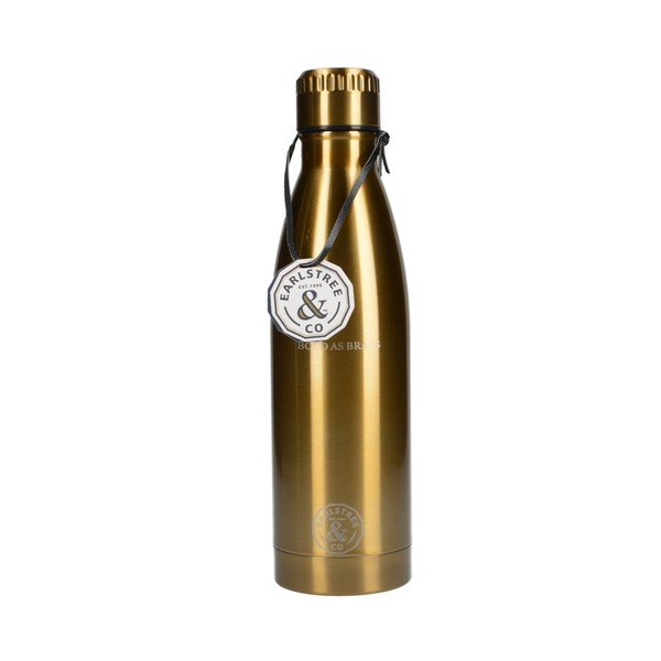 Putna boca od nehrđajućeg čelika Creative Tops Earlstree, 550 ml-image-1