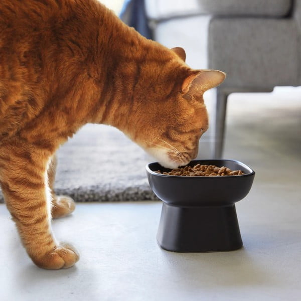 Keramička zdjela za hranu za ljubimce za kućne ljubimce Tower – YAMAZAKI-image-1