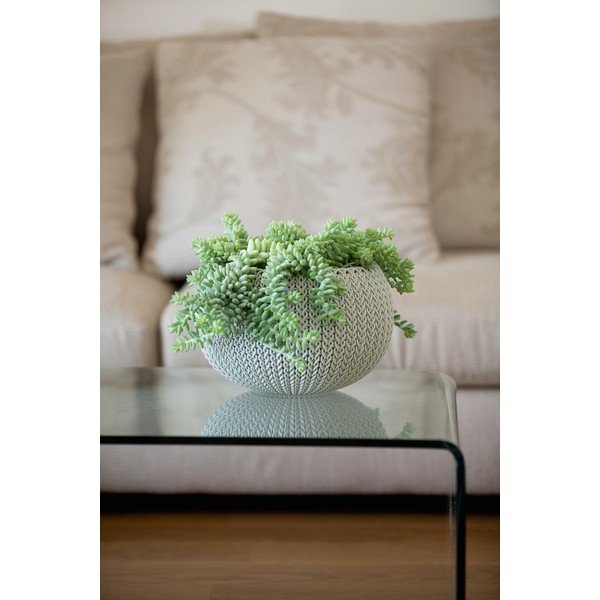 Plastična viseća i zidna posuda za cvijeće ø 28 cm Cozy – Keter-image-3