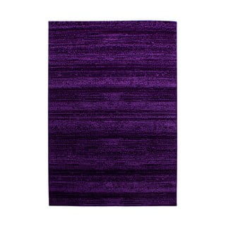 Tamno ljubičasti tepih 160x230 cm Plus – Ayyildiz Carpets