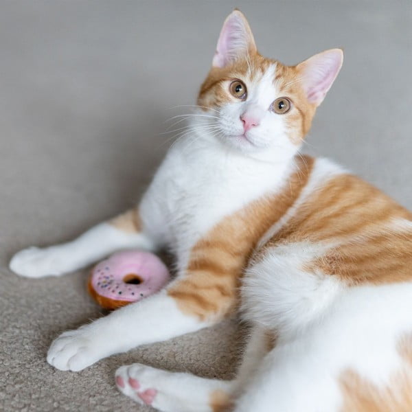 Igračke za mačke u setu od 3 kom Donuts - P.L.A.Y.-image-2