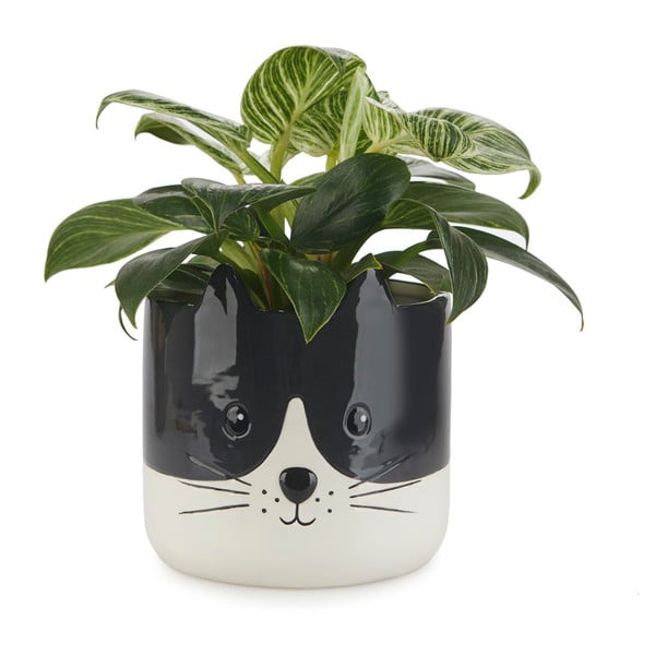 Keramička posuda za cvijeće ø 13,5 cm Kitty – Balvi-image-1